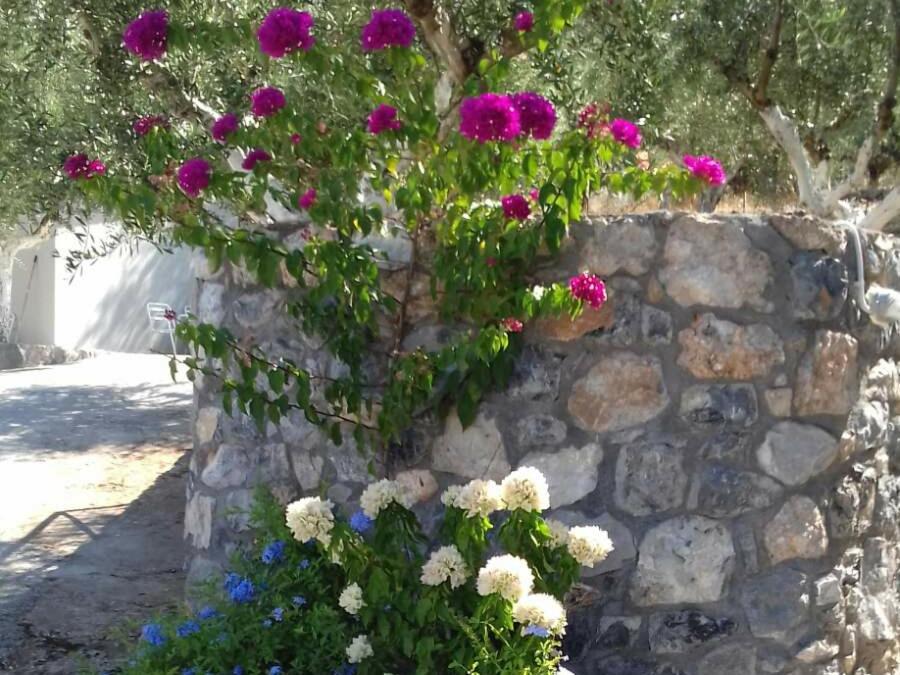 Blue Yard Apartments Kalamata Chambre photo